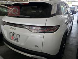 بي واي دي سونغ L DM-i